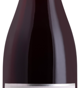 Givry Rouge 2023 "Meix au Roi"